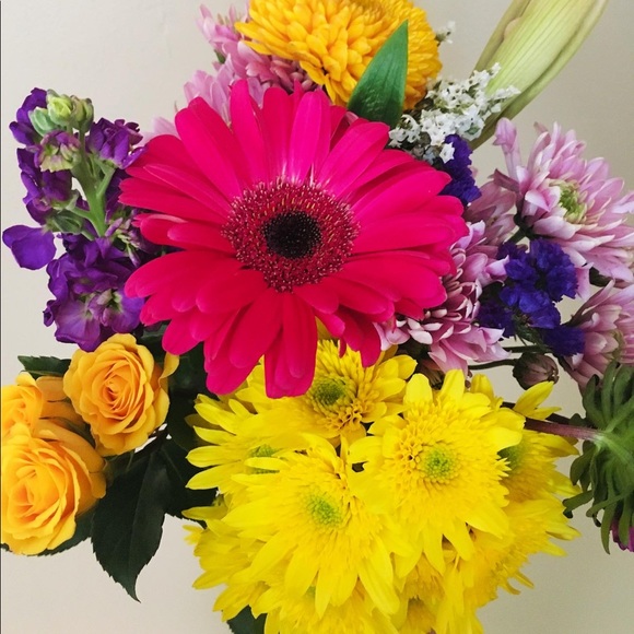 Meet your Posher, Claire - Picture 2 of 3